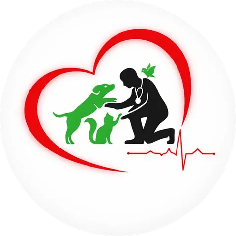 Dr GK Pet Clinic veterinary doctor treating a dog in Tellapur